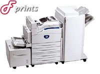  Xerox Phaser 5500DX